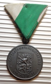 Медаль 10 лет «За особые заслуги»  Штирия