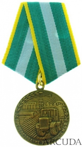 Медаль «За преобразование Нечерноземья РСФСР» (муляж)