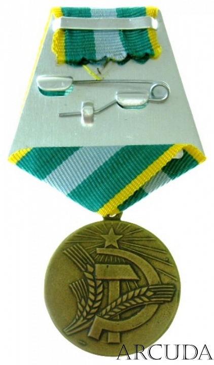 Медаль «За преобразование Нечерноземья РСФСР» (муляж)